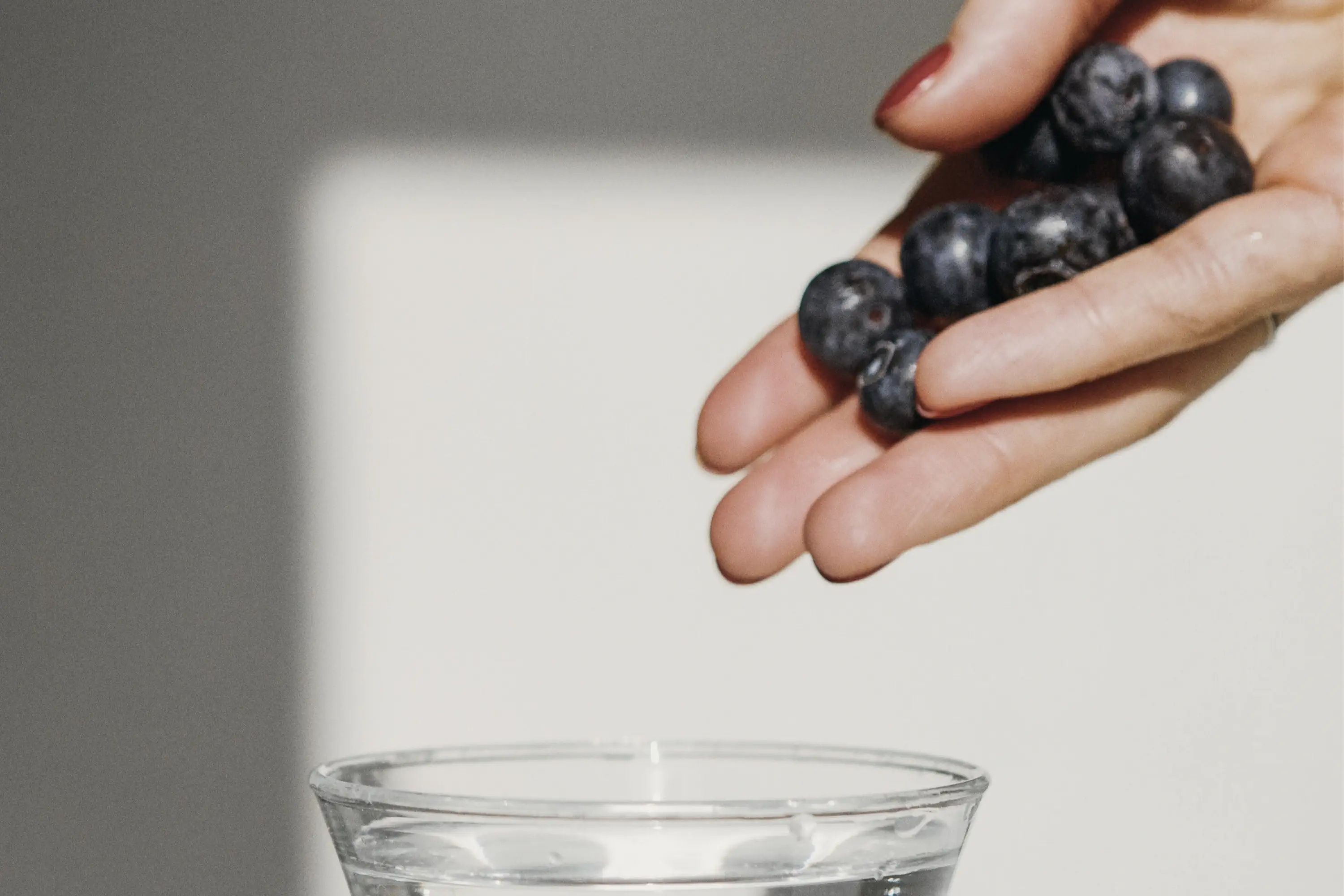 hand holding blueberries